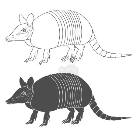 Ilustración de Conjunto de ilustración en blanco y negro con un armadillo. Objetos vectoriales aislados sobre fondo blanco. - Imagen libre de derechos
