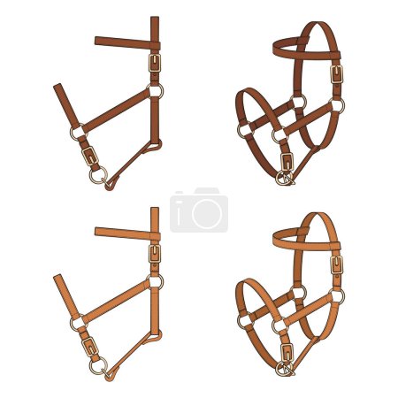 Illustration for Set of color illustrations with leather halter, headstall, bridle. Isolated vector objects on white background. - Royalty Free Image