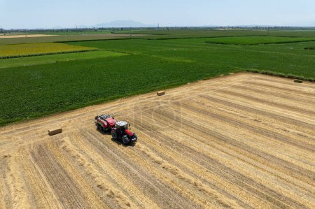 Campo agrícola, los agricultores trabajan con tractor en tierras de cultivo,