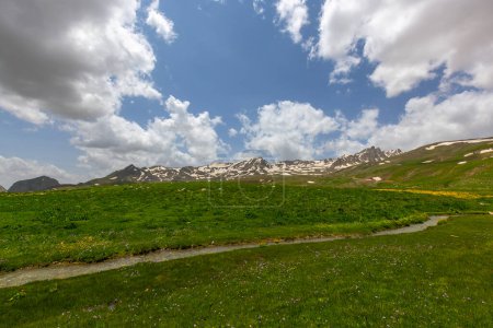 Plateau de Berelan paysage montagneux enneigé et terrain fleuri, Hakkari, Turquie