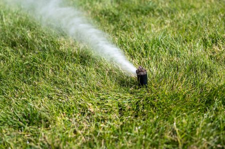 Photo for Winterizing a irrigation sprinkler system by blowing pressurized air through to clear out water. High quality 4k footage - Royalty Free Image