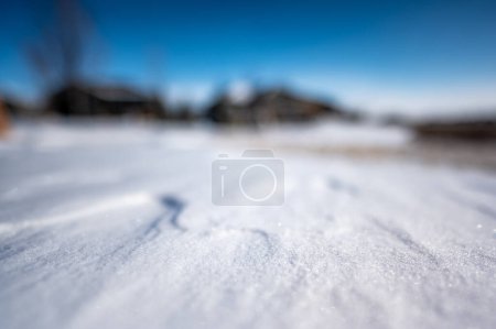 Téléchargez les photos : Arrière-cour ouverte avec de l'herbe morte et de la neige prise sous un angle bas - en image libre de droit