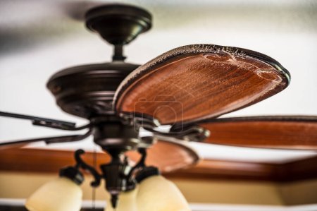 Foto de Concepto de tareas de limpieza en el hogar que muestran la acumulación de polvo en un ventilador de techo - Imagen libre de derechos
