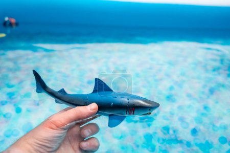 Foto de Gran tiburón blanco juguete de plástico en la superficie de una piscina. Foto de alta calidad - Imagen libre de derechos