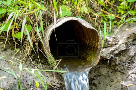 Photo for Level view into a drain tile with low flow. - Royalty Free Image