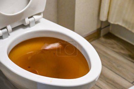 Plugged toilet with water and sewage backed up. High quality photo
