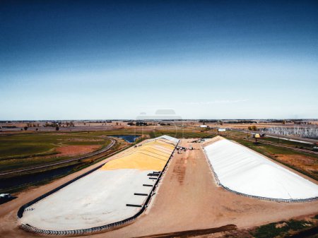 Drone view over two grain storage piles being filled and covered. High quality photo