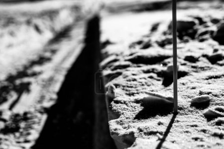 Photo for Sidewalk with edge markers used for snow blowing guides. High quality photo - Royalty Free Image