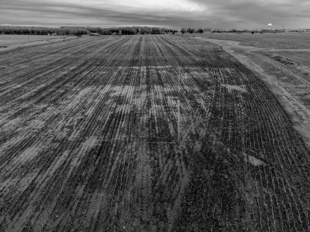 drone view above an agriculture field with standing water in the spring. . High quality photo