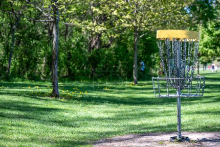 Disc golf goal with trees and open grass in background. . High quality photo