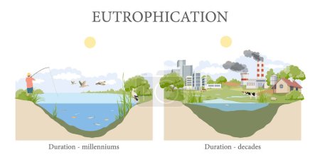 Photo for Water eutrophication and its effects - Royalty Free Image