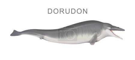 Téléchargez les photos : Illustration de l'ancienne baleine Dorudon - en image libre de droit