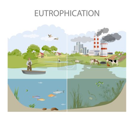 Ilustración de eutrofización y contaminación del agua
