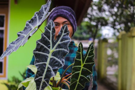 Photo for Young Asian man in beanie hat and flannel shirt holding Alocasia plant on white pot in the backyard. - Royalty Free Image