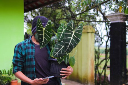 Photo for Young Asian man in beanie hat and flannel shirt holding Alocasia plant (Alocasia micholitziana Frydek) on black pot in the backyard. - Royalty Free Image