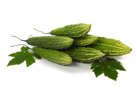 Téléchargez les photos : Melon amer frais (Momordica charantia) prêt pour un délicieux plat. Isolé sur fond blanc. - en image libre de droit