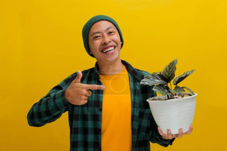 Excited Asian man in a beanie and casual clothes points directly at a healthy Pin-stripe Calathea (Calathea ornata) houseplant in a white pot, recommending it. Isolated on a yellow background.