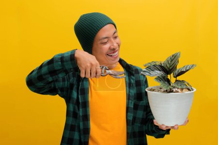 Excited Asian man in a beanie and casual clothes carefully prunes his healthy Pin-stripe Calathea (Calathea ornata) houseplant in a white pot using garden shears. Isolated on a yellow background.