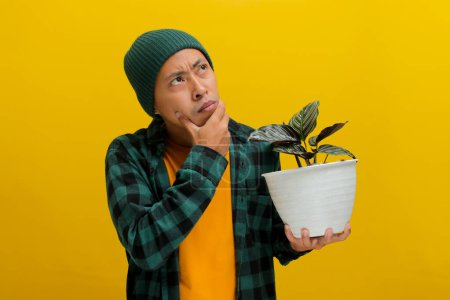 Asian man in a beanie and casual clothes rests his hand on his chin, deep in thought, while gazing at a Pin-stripe Calathea (Calathea ornata) houseplant in a white pot. Isolated on a yellow background