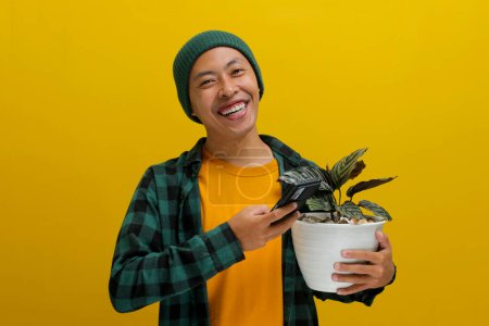 Cheerful Asian man in a beanie and casual clothes smiles at the camera, holding his phone and a healthy Pin-stripe Calathea (Calathea ornata) houseplant in a white pot. Isolated on a yellow background