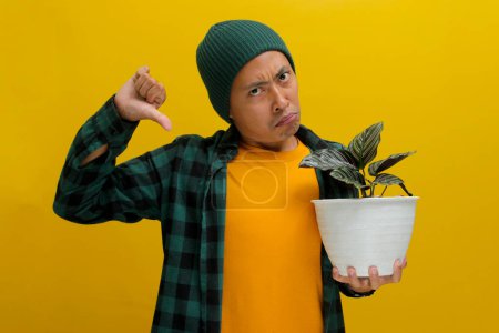 Asian man frowns slightly while holding a Pin-stripe Calathea (Calathea ornata) houseplant in a white pot. He gives a thumbs down gesture, suggesting something isn't quite right with the plant's care