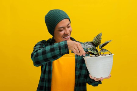 Aufgeregte Asiaten in Mütze und lässiger Kleidung schneiden mit der Gartenschere vorsichtig ihre gesunde Zimmerpflanze Calathea (Calathea ornata) in einem weißen Topf. Vereinzelt auf gelbem Hintergrund.