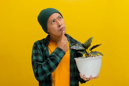 Asian man in a beanie and casual clothes rests his hand on his chin, deep in thought, while gazing at a Pin-stripe Calathea (Calathea ornata) houseplant in a white pot. Isolated on a yellow background