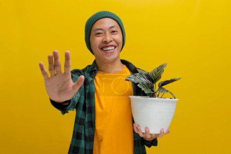 Asiatischer Mann hält eine gesunde Calathea (Calathea ornata) -Zimmerpflanze in einen weißen Topf und macht mit der anderen Hand eine stoppende Geste, als würde er von schlechten Pflegetipps für Zimmerpflanzen abraten