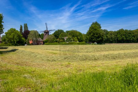 The old windmill. A beautiful summer day in Neukirchen Vluyn. Not far from Moers, Germany