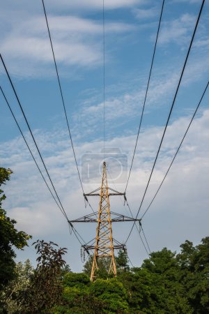 Foto de Línea eléctrica de alto voltaje, sobre el fondo del cielo, árboles verdes. Foto de alta calidad - Imagen libre de derechos
