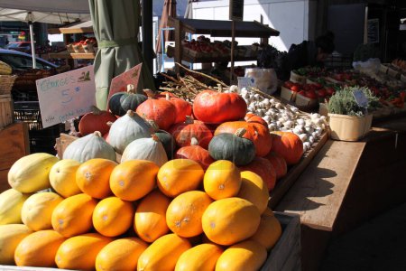 Photo for Farmer's market stall with colorful display of pumpkins. Texts on price tags read: squash 5$ certified bio, garlic 2$ per item 3 for 5$, pumpkin - Royalty Free Image