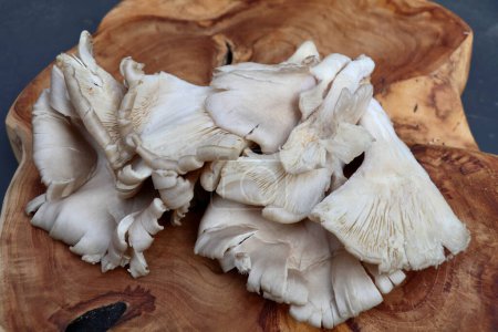 Photo for Bunch of large fresh oyster mushrooms on a wooden background - Royalty Free Image
