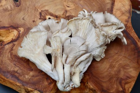 racimo de grandes hongos ostreros frescos sobre un fondo de madera