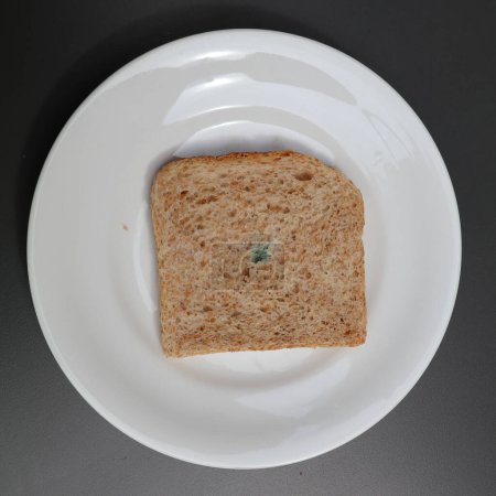 einzelne Scheibe verschimmeltes Brot auf einem weißen Teller mit dunklem Hintergrund
