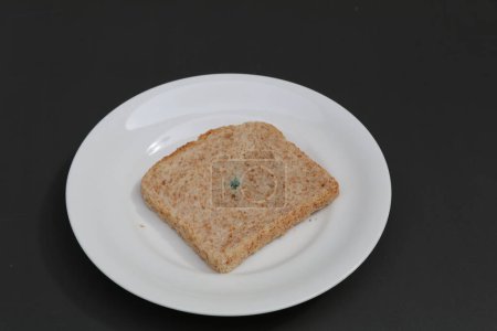 Scheiben schimmeliges Brot auf einem weißen Teller mit dunklem Hintergrund