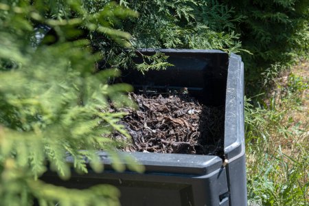 Foto de Imagen del contenedor de compost en el jardín. Foto de alta calidad - Imagen libre de derechos