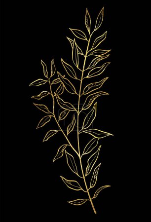 Hand drawn of wild herb. Golden plant drawing. Sketch or doodle style botanical vector illustration on black background.