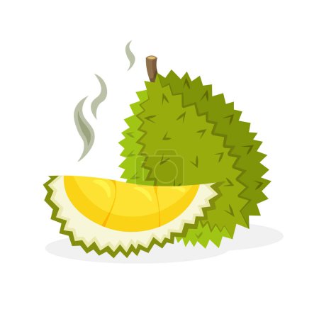 Téléchargez les illustrations : Des fruits de Durian. Ensemble et morceau de fruits.Vegan icônes vecteur alimentaire dans un style de dessin animé à la mode. Illustration vectorielle isolée. - en licence libre de droit