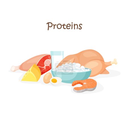 Illustration for Food high in protein. Beef, chicken, fish, egg, cheese and milk. Healthy macronutrients. Nutrition and wholesome products. Vector illustration in trendy flat style isolated on white background. - Royalty Free Image