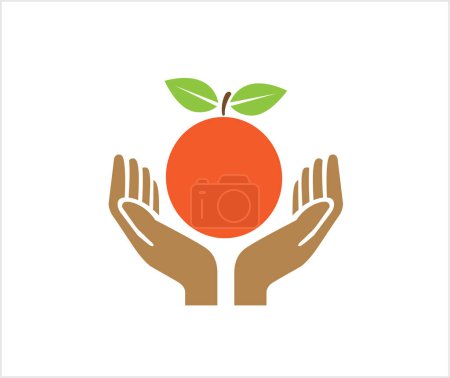 Ilustración de Manos sosteniendo naranja fruta logo vector icono símbolo - Imagen libre de derechos