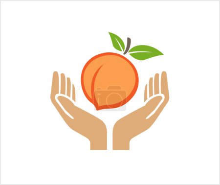 Ilustración de Manos sosteniendo melocotón fruta logo vector icono símbolo - Imagen libre de derechos