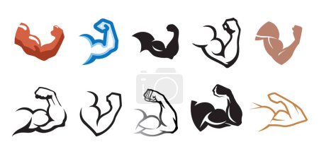 Téléchargez les illustrations : Créatif humain biceps muscles collection logo vectoriel symbole icônes conception illustration - en licence libre de droit