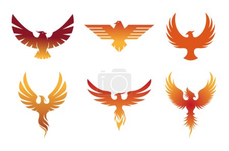 Creative pheonix birds collection logo design symbol vector illustration