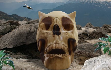 Téléchargez les photos : Crâne antédiluvien mystérieux avec cornes - en image libre de droit