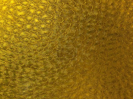 Foto de Beautiful golden flowers stained glass background and texture. 17th century Antique stained glass - Imagen libre de derechos