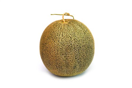 Photo for Cantaloupe isolated on white background. Melon studio photography - Royalty Free Image
