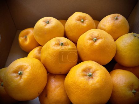 Foto de Naranjas mandarinas en caja de cartón, enfoque selectivo - Imagen libre de derechos