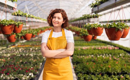 Photo for Glad woman in white t shirt and yellow apron crossing arms and looking at camera with smile, while standing near lush plants during work in hothouse on farm. - Royalty Free Image