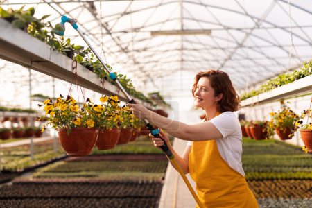 Photo for Cheerful female gardener in yellow apron smiling and watering fresh green plants during work in spacious greenhouse - Royalty Free Image
