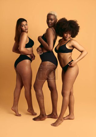 Téléchargez les photos : Corps complet de modèles féminins multiraciaux en lingerie noire montrant la différence de corps sur fond brun - en image libre de droit
